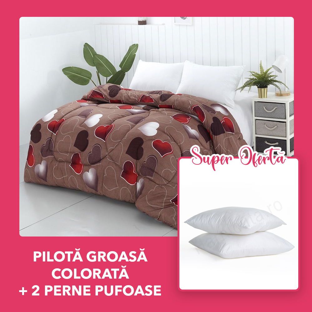 Set CADOU Pilota Groasa Colorata + 2 Perne 50x70cm - Inimioare Multicolore- PM0066